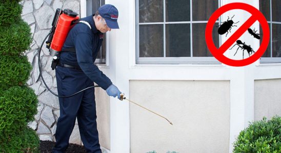 Gürsu Hamam Böceği İlaçlama böcek ilaçlama ve haşere kontrolü — ilaclama-tr.com